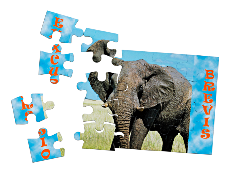 Magnet puzzle individuell