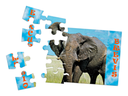 Magnet puzzle individuell